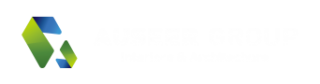 AUseer Group